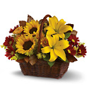 Golden Days Basket Cottage Florist Lakeland Fl 33813 Premium Flowers lakeland